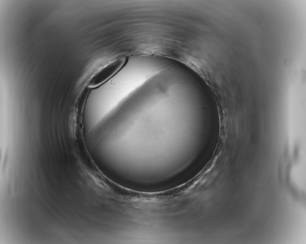 X0000086940194200704301144