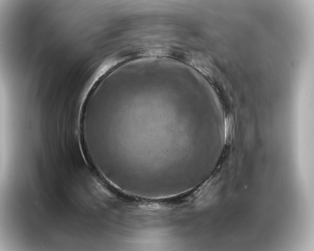 X0000086940195200704301144