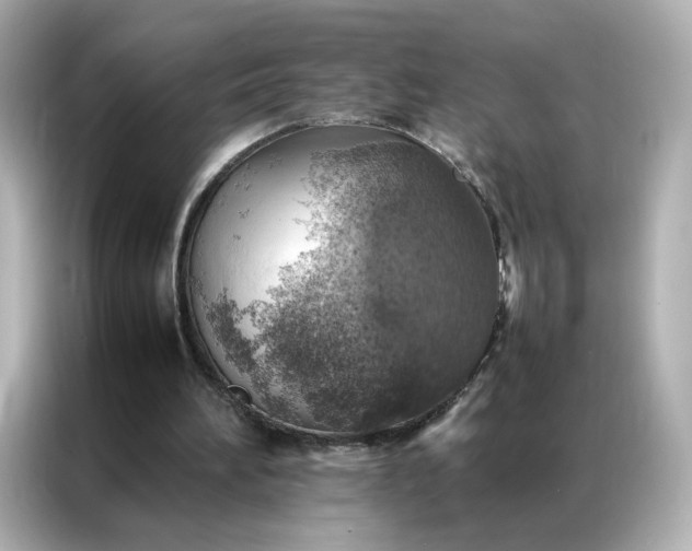 X0000086940196200704301144