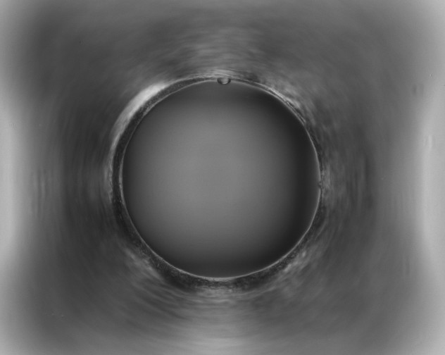 X0000086940200200704301144