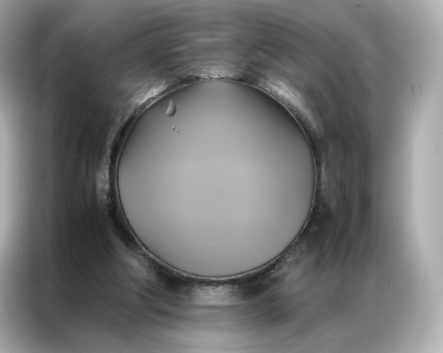 X0000086940202200704301144