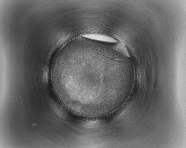 X0000086940206200704301144