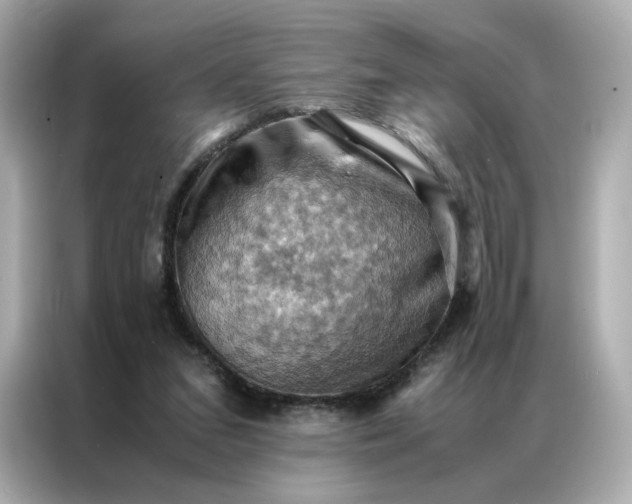 X0000086940207200704301144