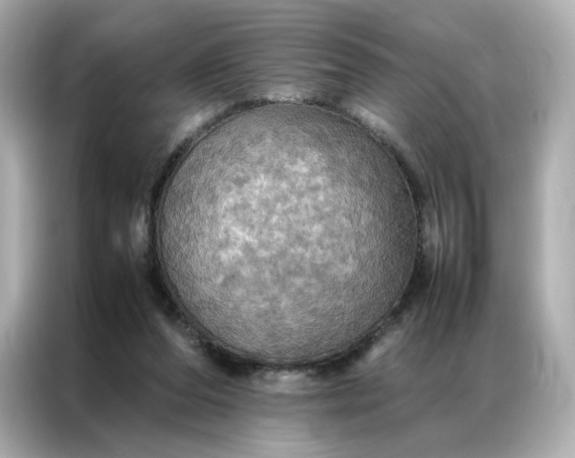 X0000086940208200704301144