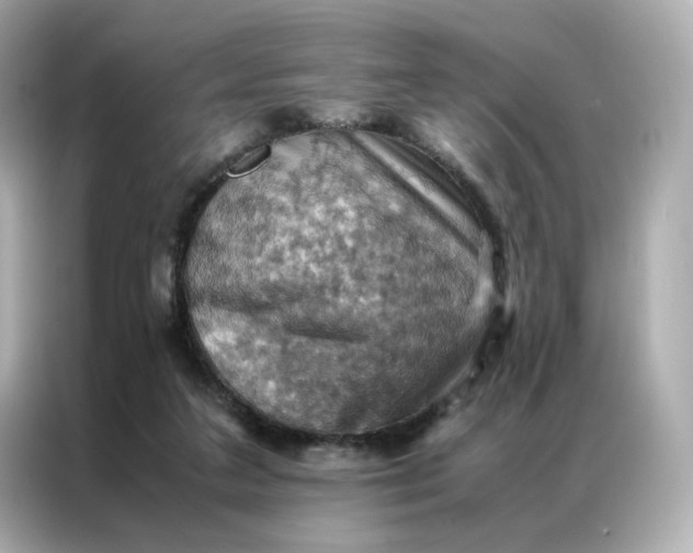 X0000086940211200704301144