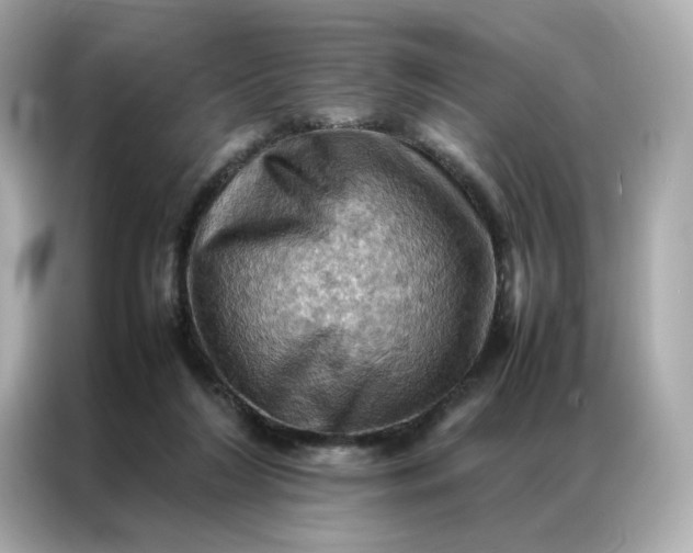 X0000086940212200704301144