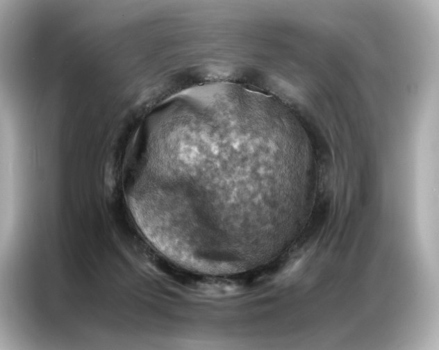 X0000086940215200704301144