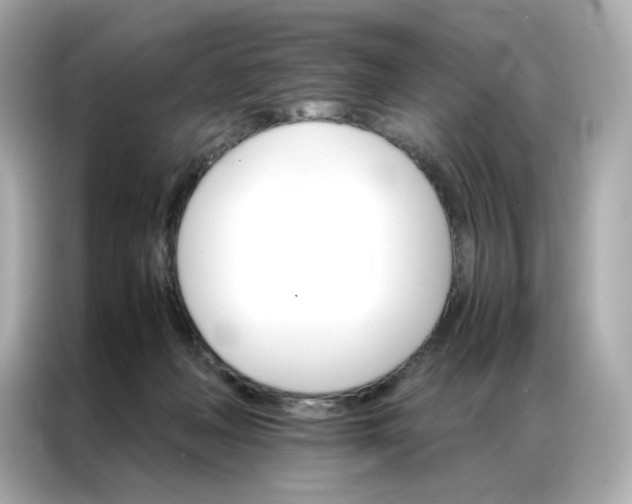 X0000086940222200704301143