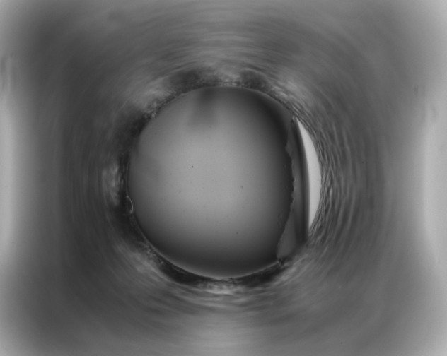 X0000086940223200704301143