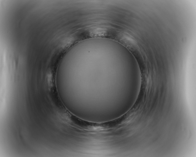 X0000086940224200704301143