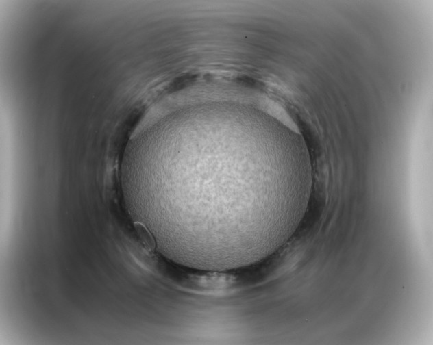 X0000086940225200704301143