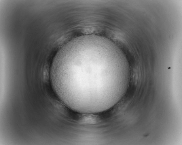 X0000086940226200704301143