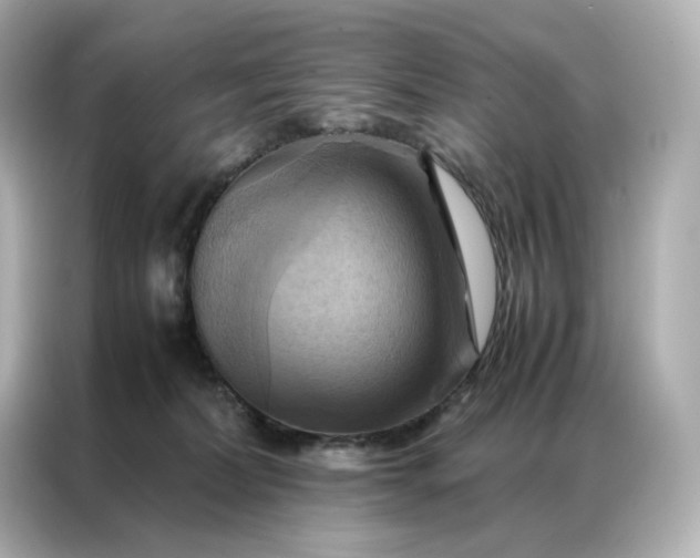 X0000086940228200704301143