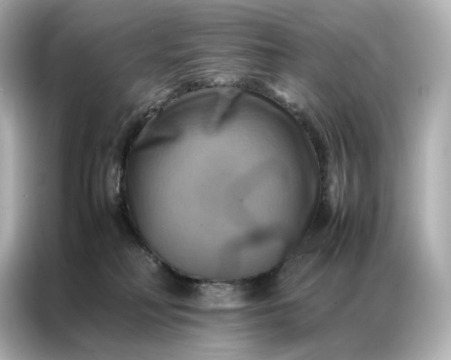 X0000086940230200704301143