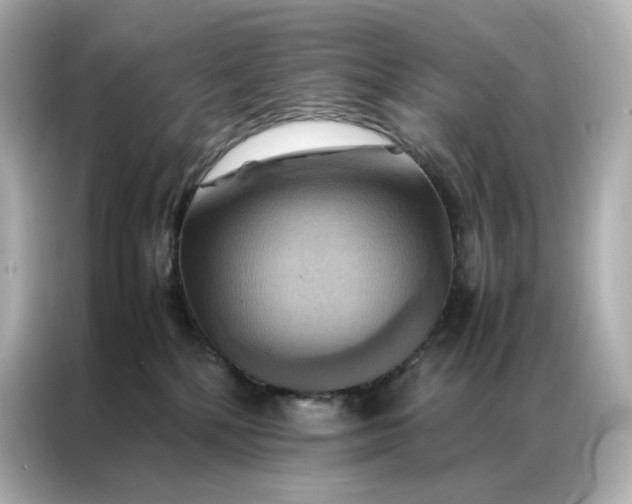 X0000086940232200704301143