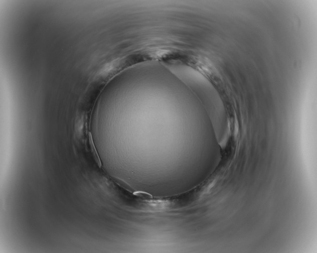 X0000086940233200704301143