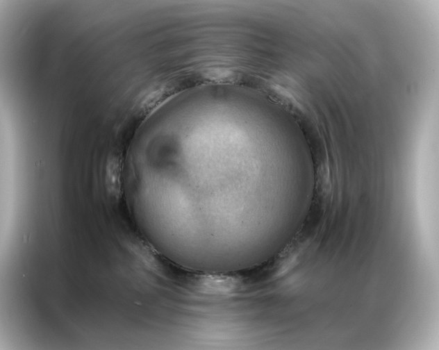 X0000086940234200704301143