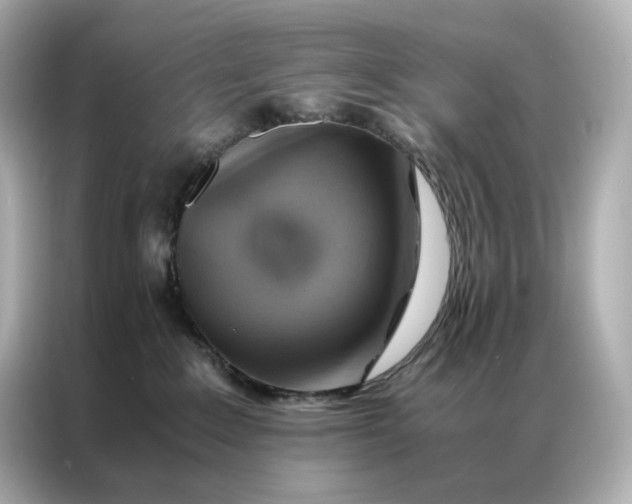 X0000086940235200704301143