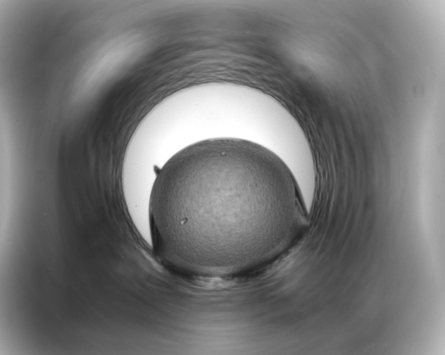 X0000086940239200704301143