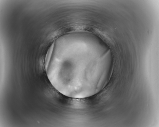 X0000086940240200704301143