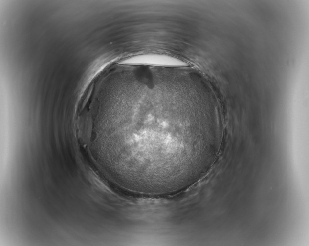 X0000086940242200704301143