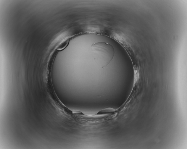 X0000086940243200704301143