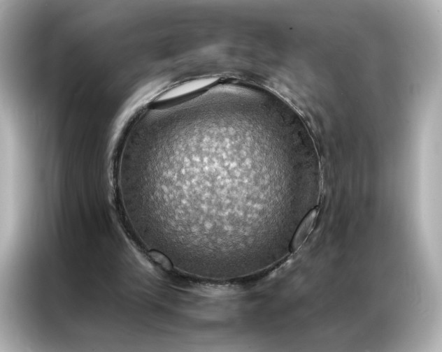 X0000086940245200704301143