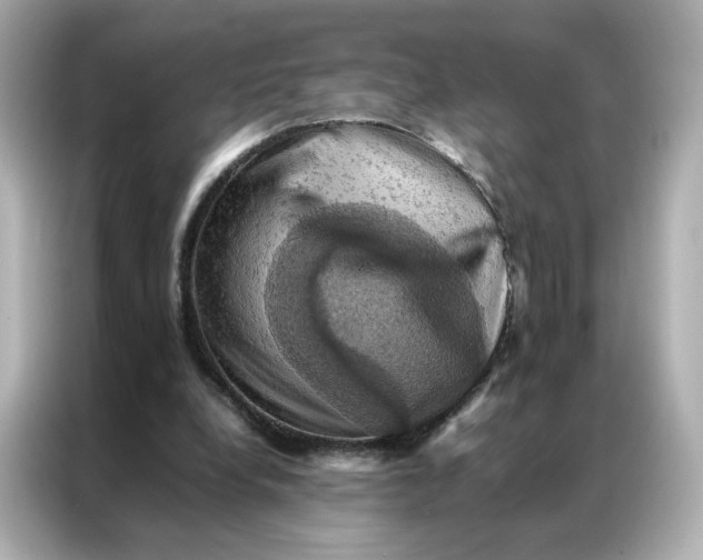 X0000086940248200704301143