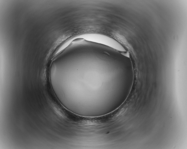 X0000086940250200704301143