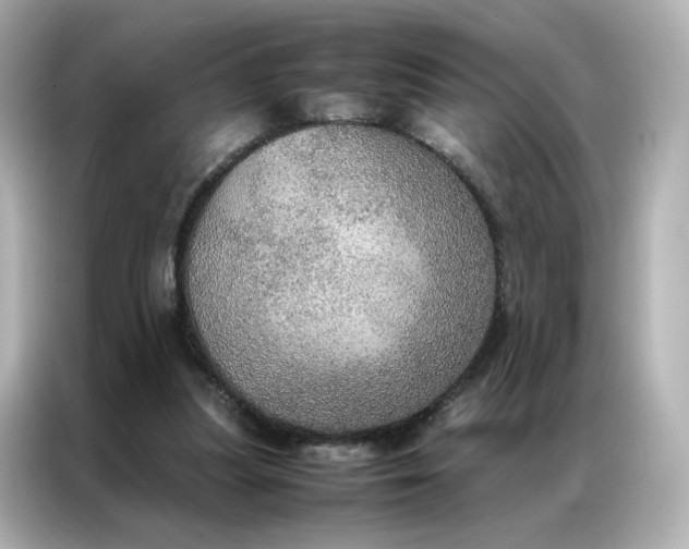 X0000086940251200704301143