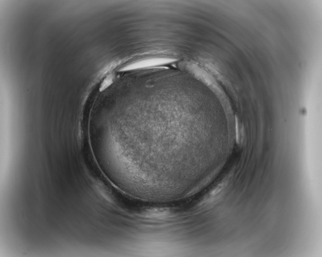 X0000086940252200704301143