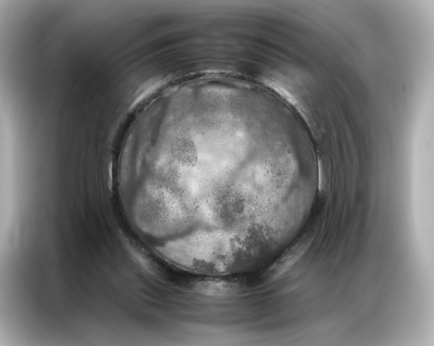 X0000086940253200704301143