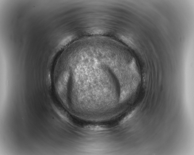 X0000086940254200704301143