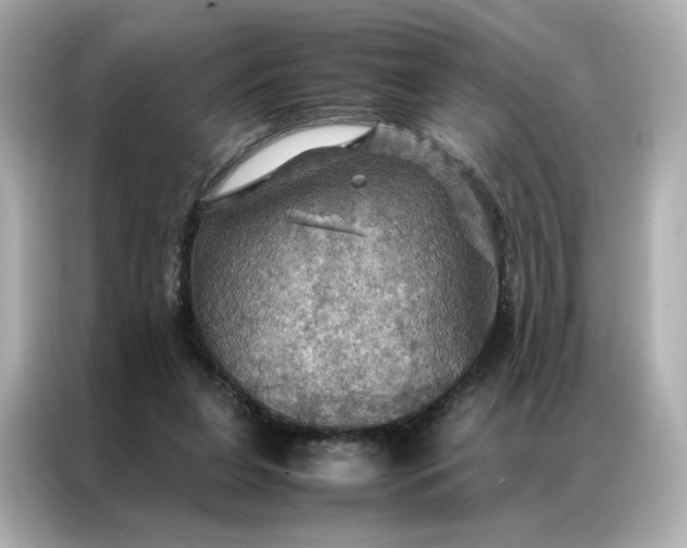 X0000086940255200704301143