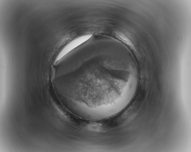 X0000086940257200704301143