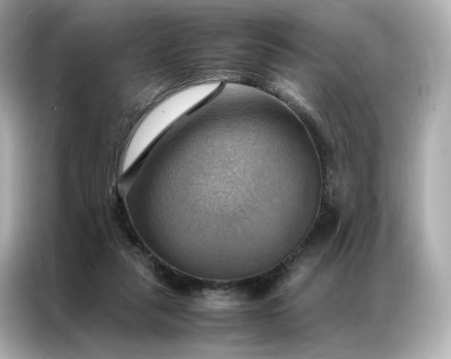 X0000086940259200704301143