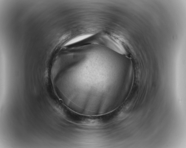 X0000086940260200704301143