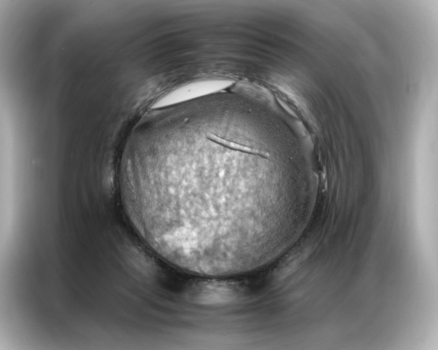 X0000086940261200704301143