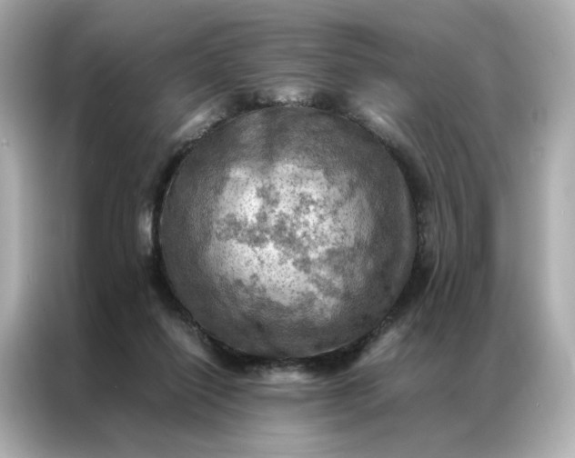 X0000086940262200704301143