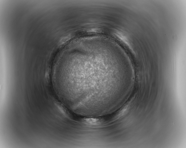 X0000086940265200704301143