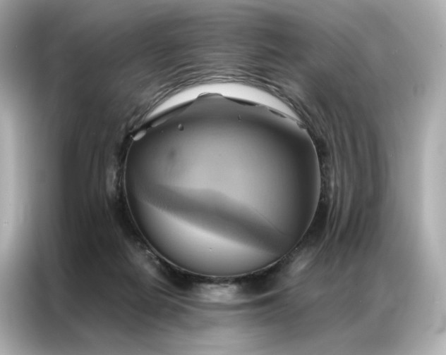 X0000086940266200704301143