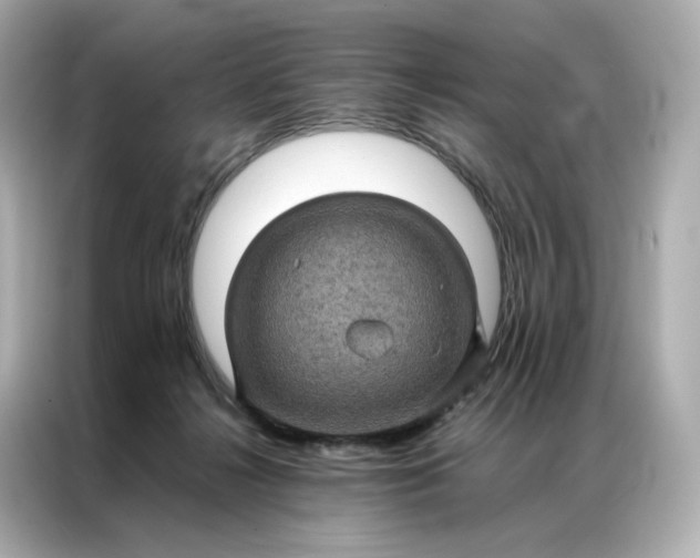 X0000086940268200704301143