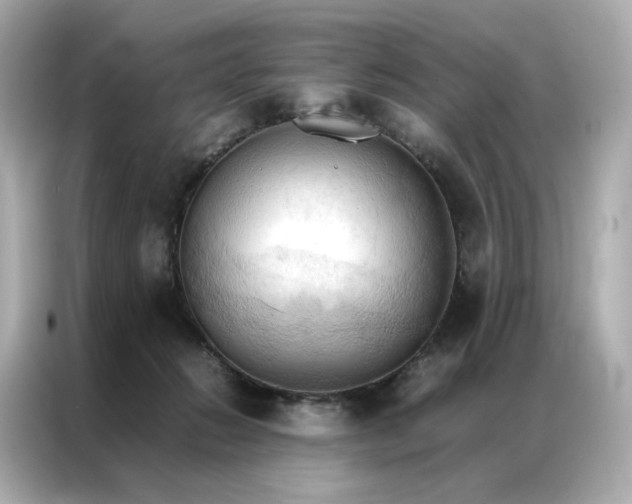 X0000086940270200704301143