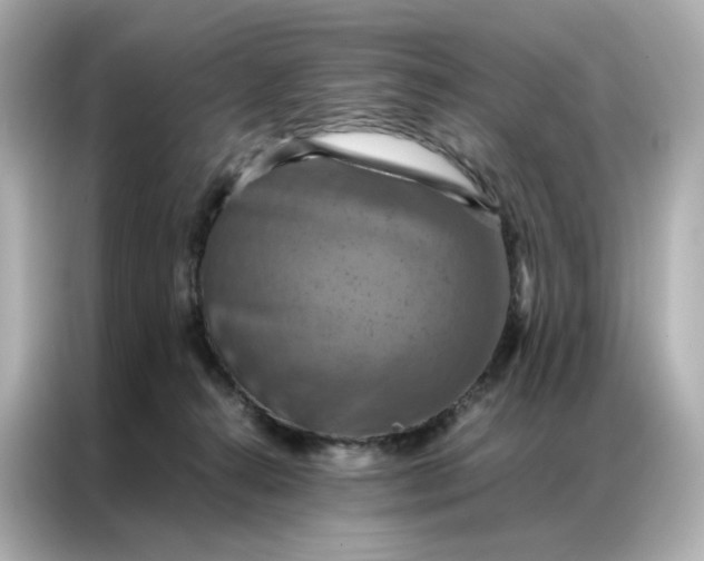 X0000086940272200704301143