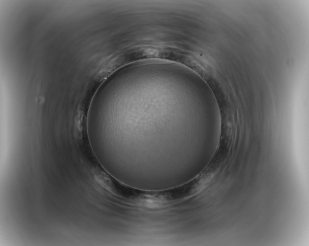 X0000086940275200704301143