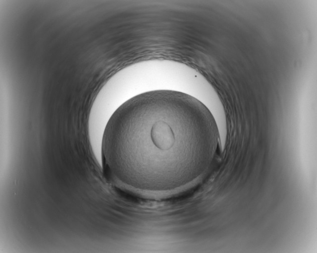 X0000086940276200704301143