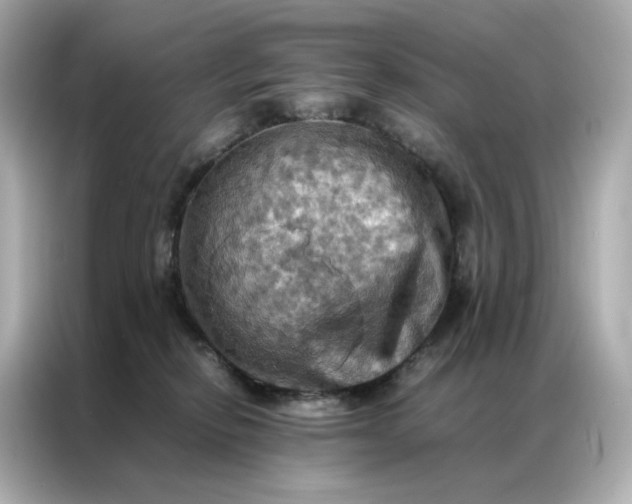 X0000086940278200704301143