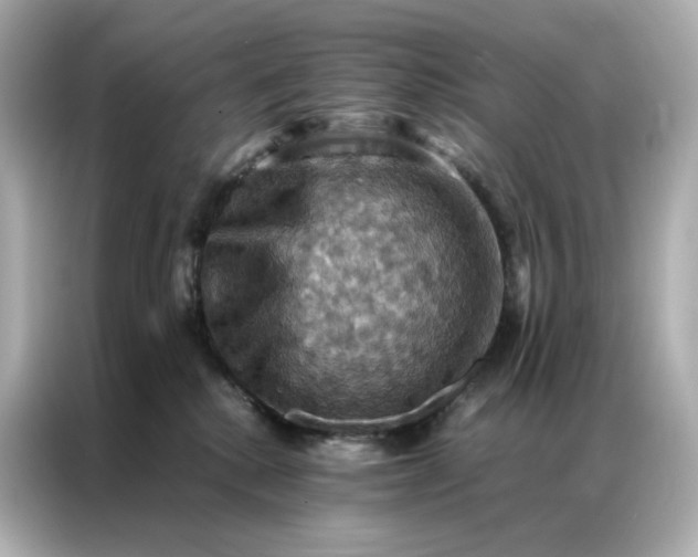 X0000086940280200704301143