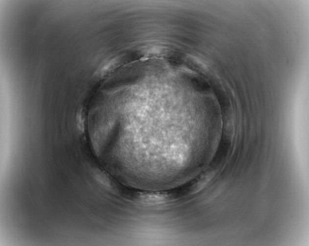 X0000086940282200704301143