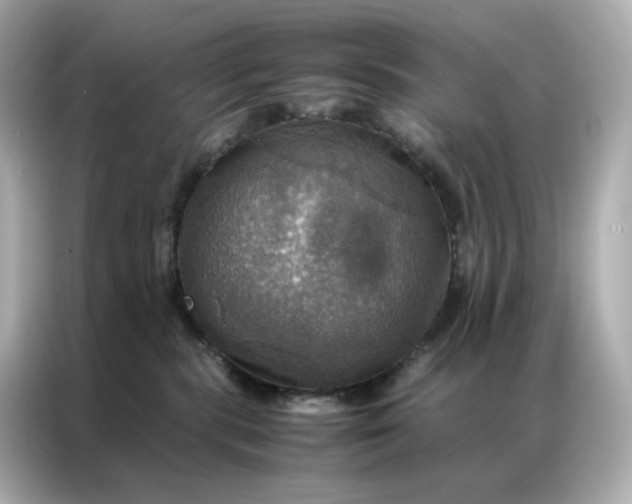 X0000086940283200704301143